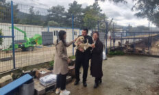 Bodrum CHP’den Dünya Sokak Hayvanları Günü’nde Barınak Ziyareti