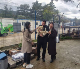 Bodrum CHP’den Dünya Sokak Hayvanları Günü’nde Barınak Ziyareti