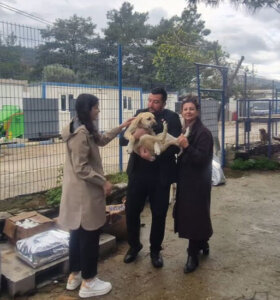 Bodrum CHP’den Dünya Sokak Hayvanları Günü’nde Barınak Ziyareti