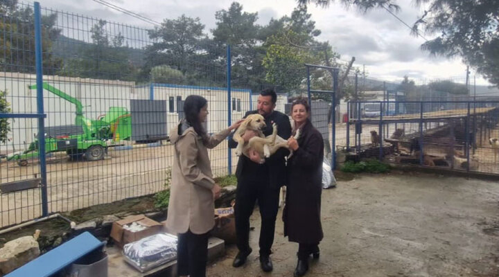 Bodrum CHP’den Dünya Sokak Hayvanları Günü’nde Barınak Ziyareti