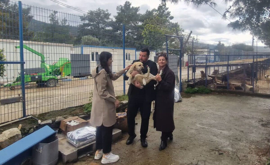 Bodrum CHP’den Dünya Sokak Hayvanları Günü’nde Barınak Ziyareti