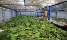 Üretici Kadınlar Meclisi Kuruluyor