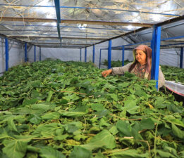 Üretici Kadınlar Meclisi Kuruluyor