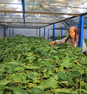 Üretici Kadınlar Meclisi Kuruluyor