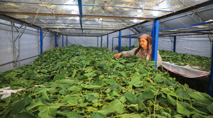 Üretici Kadınlar Meclisi Kuruluyor