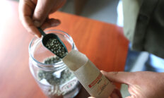 25 Milyon Ata Tohumu Dağıtıldı