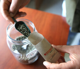 25 Milyon Ata Tohumu Dağıtıldı