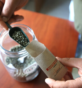 25 Milyon Ata Tohumu Dağıtıldı