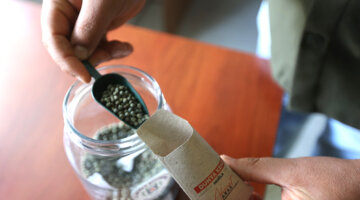 25 Milyon Ata Tohumu Dağıtıldı