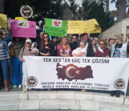 Bodrum Hayvan Hakları İçin Tek Yürek Oldu