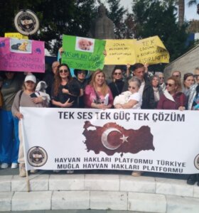 Bodrum Hayvan Hakları İçin Tek Yürek Oldu