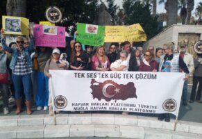 Bodrum Hayvan Hakları İçin Tek Yürek Oldu