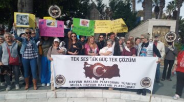 Bodrum Hayvan Hakları İçin Tek Yürek Oldu