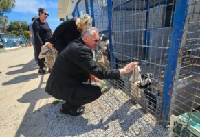 MHP Bodrum’dan Can Dostlara ziyaret