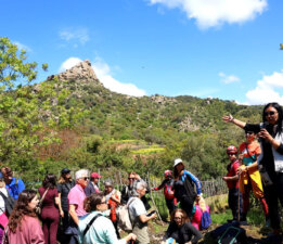 Kavakderesi Dedeler Mevkiinde doğa yürüyüşü