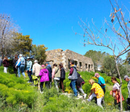 Kadıkalesi’nde Tarihe Yolculuk
