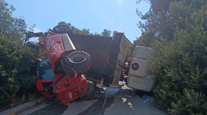 Vinç taşıyan kamyonet devrildi