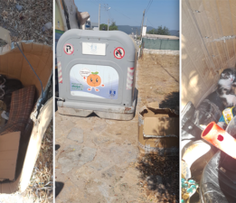 Belediye Ekibinin Dikkati Yavru Kedileri Hayata Bağladı