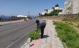 Bodrum’da Ot Temizliği Çalışmaları Sürüyor