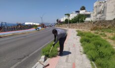 Bodrum’da Ot Temizliği Çalışmaları Sürüyor