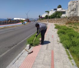 Bodrum’da Ot Temizliği Çalışmaları Sürüyor