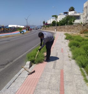 Bodrum’da Ot Temizliği Çalışmaları Sürüyor