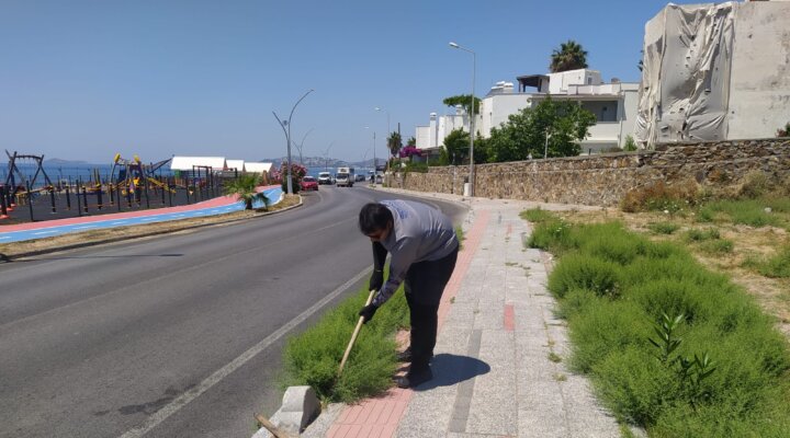Bodrum’da Ot Temizliği Çalışmaları Sürüyor