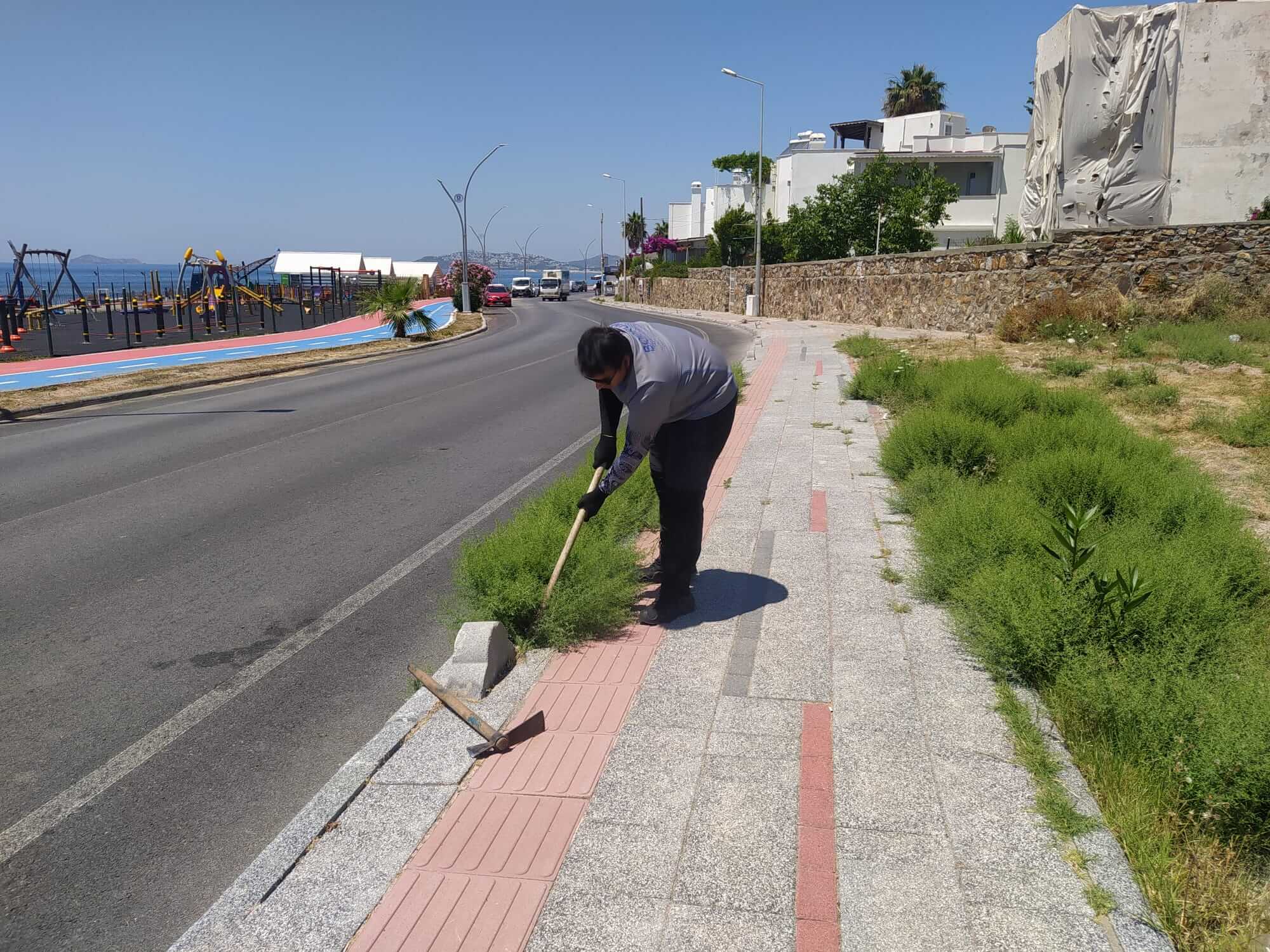 Bodrum’da Ot Temizliği Çalışmaları Sürüyor