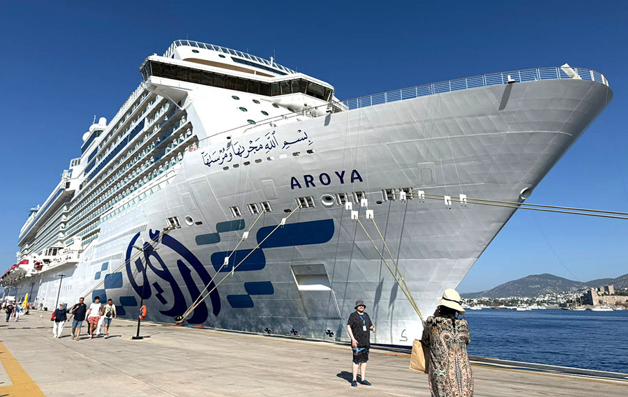 “Aroya” 2 bin 360 yolcu ile Bodrum’da