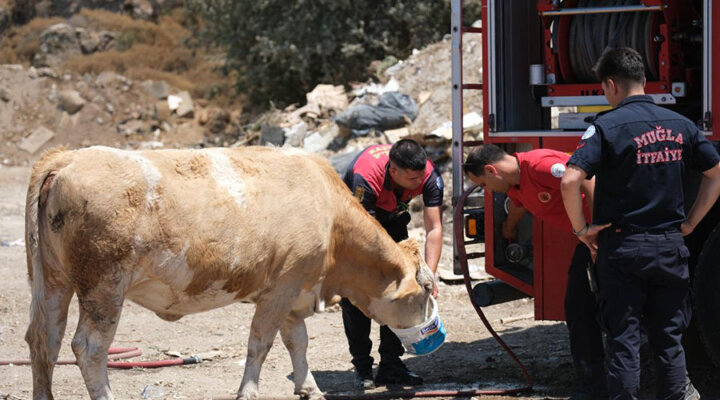 Yangın Sahasında Yürek Isıtan An