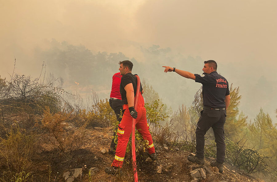 Muğla’da Yangınların Acı Bilançosu: Her 10 Yangından 7’si İnsan Kaynaklı