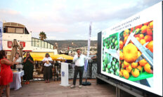 Yeşil Bodrum Mandalini Sektör Buluşması