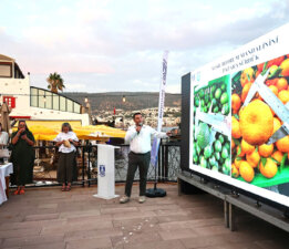 Yeşil Bodrum Mandalini Sektör Buluşması