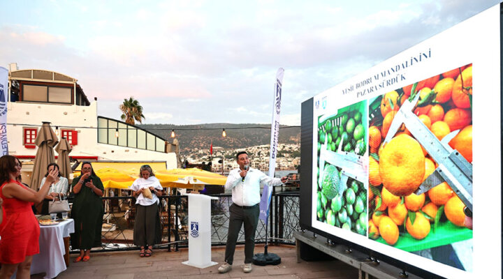 Yeşil Bodrum Mandalini Sektör Buluşması