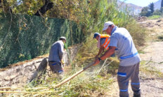 Bodrum’da Ot Temizliği Çalışmaları Sürüyor
