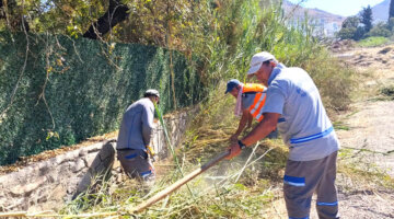 Bodrum’da Ot Temizliği Çalışmaları Sürüyor
