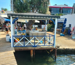 Bodrum’un cadde ve sokakları Mavi-Beyaz